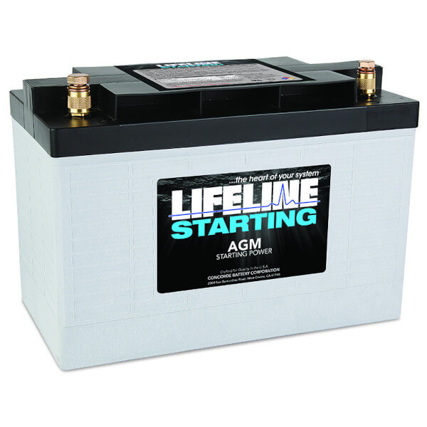 Lifeline GPL-3100T Deep Cycle AGM Batterie - 12V 100Ah
